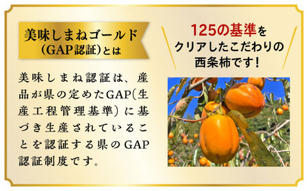 柿【数量限定40個】【秋限定！先行予約/10月上旬より順次発送】西条柿 合わせ柿 大玉2L 5kg 島根県松江市/mishiro farm[ALIJ005]