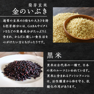 ＜3ヶ月定期便＞発芽玄米パックご飯 計48パック(16パック×3回) 金のいぶき発芽玄米 黒米 発芽玄米 レンジ 有機栽培 パックご飯 パックごはん ご飯パック ごはんパック ご飯 米 頒布会 【有機農園ファーミン株式会社】tm578