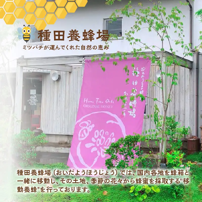 《14営業日以内に発送》採れたまんまの白花豆蜂蜜 190g×3本セット ( 蜂蜜 はちみつ ハチミツ 蜜 甘い 白花豆 蜂 純粋蜂蜜 贅沢 国産 酸味 おいしい おやつ 天然 自然 )【022-0022】