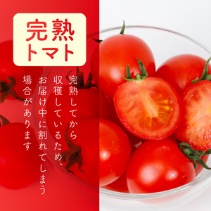 ラブリーさくら 約1.6kg 大瀧農園 トマト 完熟トマト 野菜 産地 直送 人気 国産 愛媛県 愛南町 発送期間：2026年3月1日～7月頃まで（※なくなり次第終了）