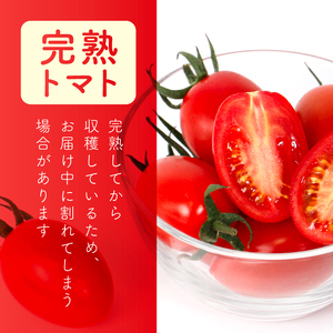 アイコ 約2.2kg 大瀧農園 トマト 完熟トマト 野菜 産地 直送 人気 国産 愛媛県 愛南町 発送期間：2026年3月1日～7月頃まで（※なくなり次第終了）