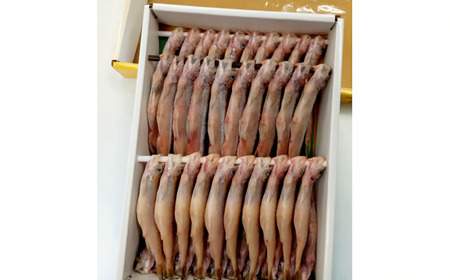 岡嶋水産　生乾しししゃも中オスメス４０尾(C0042)