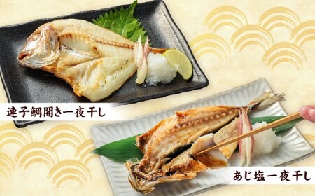 一夜干しこだわりセット ／ さば塩 あじ塩 かます開き 連子鯛開き ふぐ イサキ 鯖 サバ 鯵 アジ カマス タイ フグ 河豚 干物 ひもの 魚介類 真空パック 冷凍 長崎県 長崎市