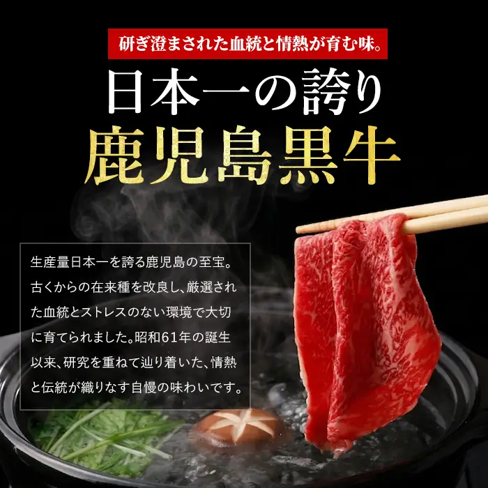 5等級鹿児島黒牛ウデスライス900g JAいぶすき IB045-002 D3501 牛肉 牛肉 