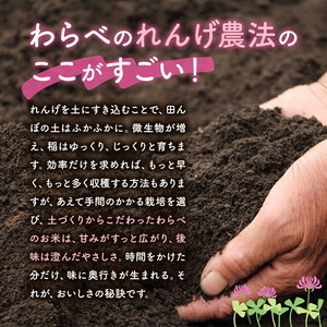 熊本県菊池市産のれんげ米 5kg 《30日以内に出荷予定(土日祝除く)》  精米方法 玄米 お米 レンゲ米 熊本県産 九州産 送料無料