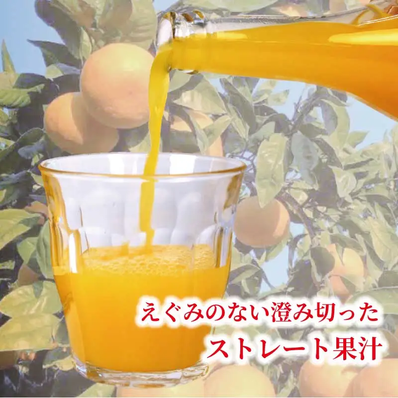 温州みかん 愛果28号 【紅まどんな と同品種】 ミックスジュース ストレート まどんな 720ml × 6本 陽だまりミカン 果汁 100%  H024-050010
