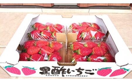 NB22x2 黒酢いちご（ゆめのか）レギュラーパック 260g×4パック （計1040g） 黒酢いちご 黒酢苺 黒酢イチゴ いちご 苺 イチゴ ストロベリー ゆめのか 甘い 美味しい おいしい 太良町 佐賀 冷蔵品 【2027年2月上旬～2027年5月上旬】