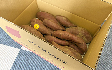 甘さ引き出す 不揃い 熟成シルクスイート 5kg さつまいも サイズお任せ サツマイモ さつま芋 甘い おやつ 食品  F21T-473