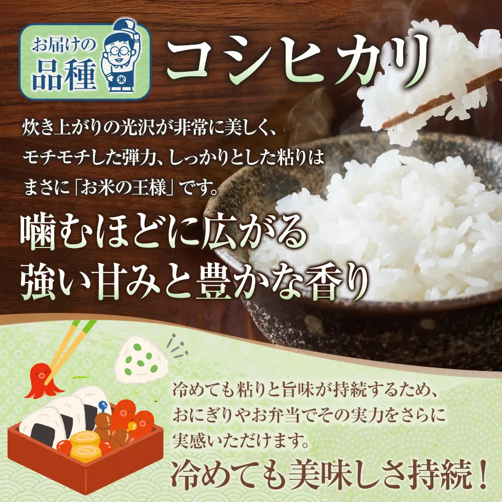 鳥取のお米 コシヒカリ 5kg×2 精米 コシヒカリ