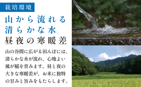 定期便 コシヒカリ 特別栽培米【 10kg 6回 】定期便