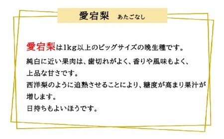 あたご梨 3～6玉 約4kg 【2026年11月下旬～12月下旬迄順次発送予定】 梨 なし ナシ 果物 フルーツ 岡山県 倉敷市