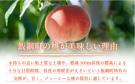 ワッサー 秀品 約 2kg 増田ファーム 配送先は本州限定 2026年8月上旬頃から2026年9月下旬頃まで順次発送予定 令和8年度収穫分 信州 果物 フルーツ ワッサー 桃 長野 予約 農家直送 長野県 飯綱町 [1820]