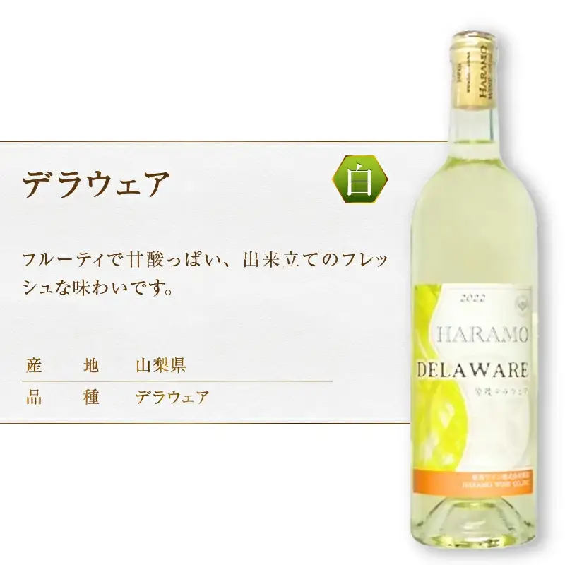 ワイン 原茂ワイン デラウェアとアジロン2本セット（MG）B12-677