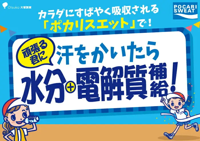 ＜6回定期便＞ ポカリスエット 500ml 1箱（24本）ぽかり 飲料[FBD007]