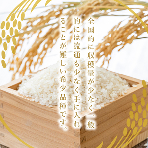 【特別優秀賞・国際総合部門】大子産米 ゆうだい21 3kg｜茨城県 大子町 白米 希少品種 令和7年産 コンテスト 優秀賞 受賞米 数量限定(AV062)