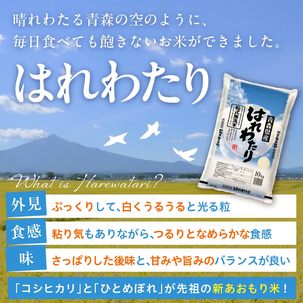 【定期便3ヶ月】 無洗米 10㎏ × 3回 青森県産 はれわたり 無洗米 定期便