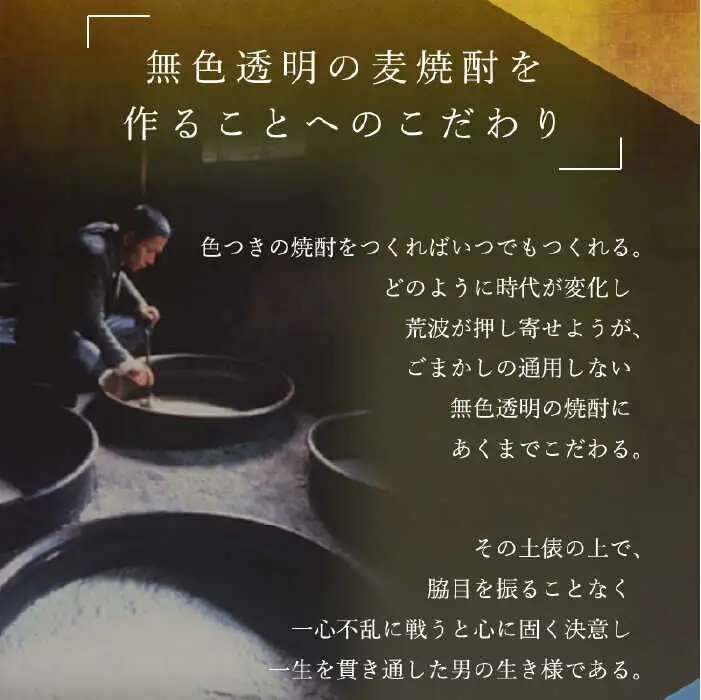 【全6回定期便】隆美焼酎と壱岐の島 25度 720ml 2本入りセット 《壱岐市》【天下御免】[JDB229]