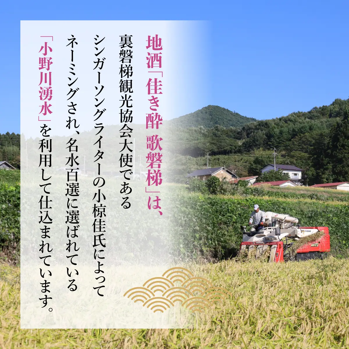 【3ヵ月定期便】「会津山塩」と地酒「佳き酔　歌磐梯」のセット KBM015