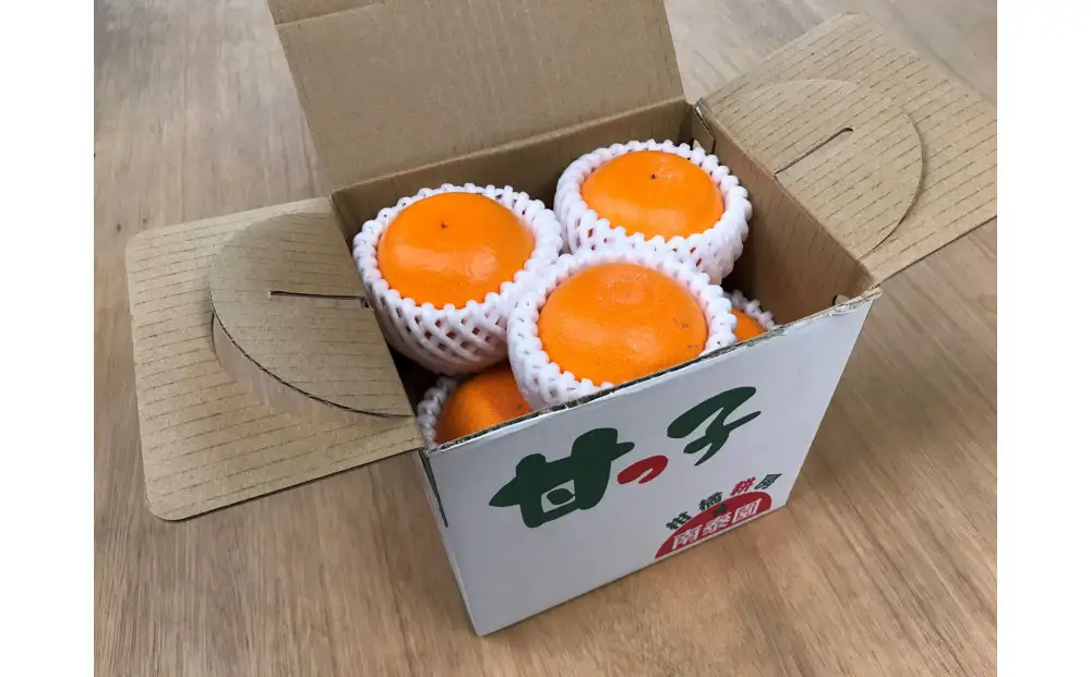 ［4箱セット］甘っ子 小玉 ハウス せとか 9玉入 × 4箱 手さげ箱 南泰園