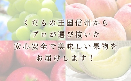りんご シナノゴールド 5kg 贈答用 信州 フルーツ 果物　林檎 リンゴ くだもの 旬の果物 旬のフルーツ 信州産 長野県産 長野 長野県 上田市