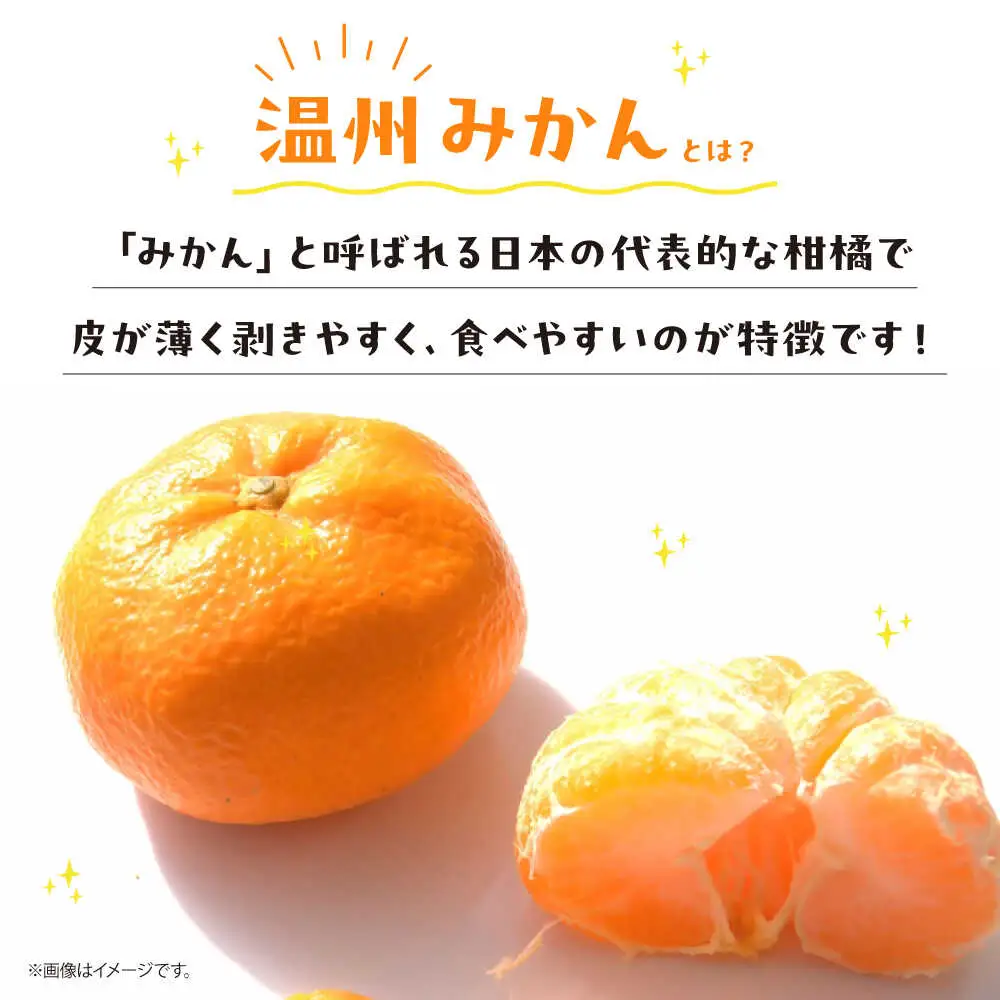 温州みかんジュース（720ml×12本）みかんジュース[AGBT024]