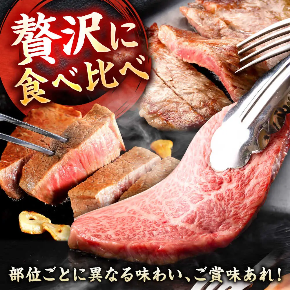 佐賀牛 ステーキ 5種 計500g 食べ比べ セット　吉野ヶ里町/ミートフーズ華松[FAY120]