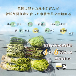  野菜 旬の水耕野菜セット 4種6袋以上 京都 亀岡産
