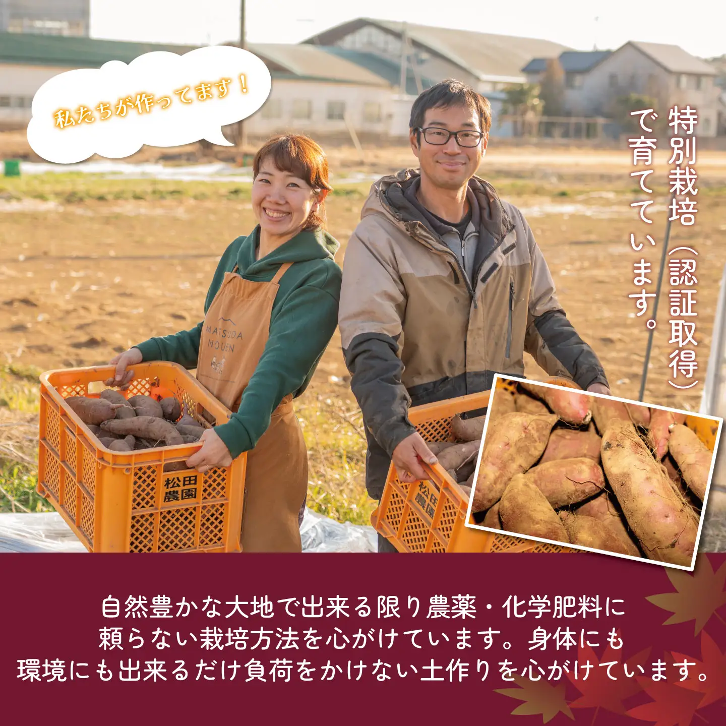 干し芋 紅はるか 超熟干し芋 900g 先行予約