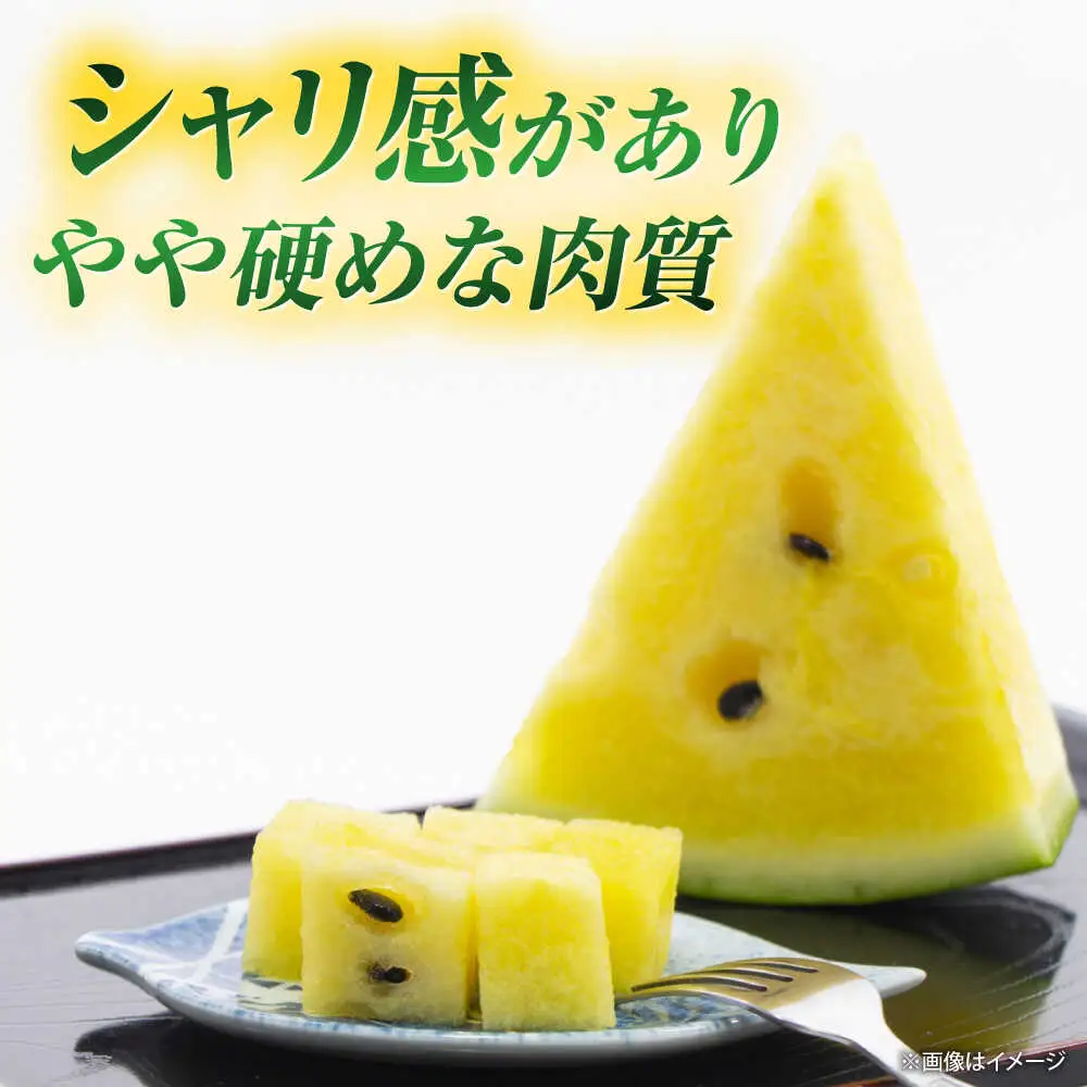【先行予約】 山鹿の恵み! 黄肉大玉スイカ 匠の育てたムーンフラッシュ　(約8kg前後×1玉)【きもと農園】 熊本県 [ZFQ005]