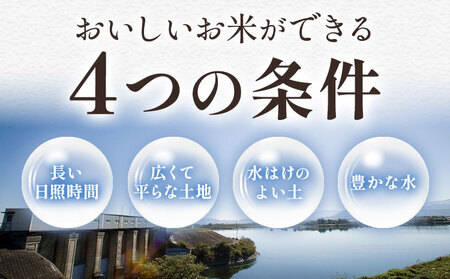 【最短7日発送】徳島ふるさと実り米 20kg 米