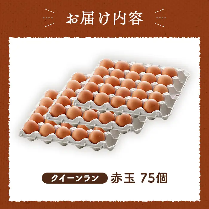 黄身がつかめる新鮮地たまご クイーンラン 赤玉 75個入 No.591