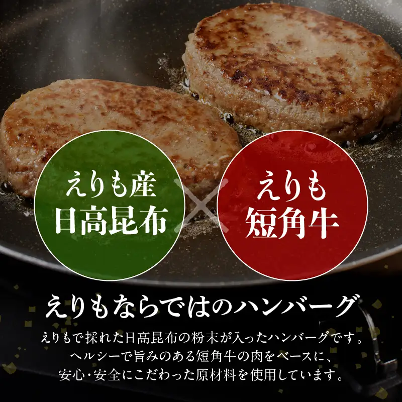 【えりも短角牛】昆布入りハンバーグ 100g×6袋【er007-027】