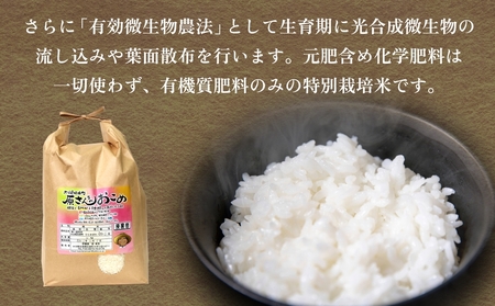 【令和8年産米先行受付】原さんちのお米 白米 ４kg ひとめぼれ 6回定期便 米 お米 こめ コメ  ご飯 ヒトメボレ 常温 大分県 大分 玖珠町 玖珠