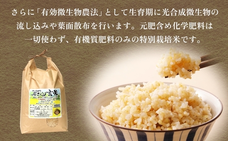 【令和8年産米先行受付】原さんちのお米 玄米 ４kg にこまる 米 お米 こめ コメ ご飯  ニコマル 常温 大分県 大分 玖珠町 玖珠