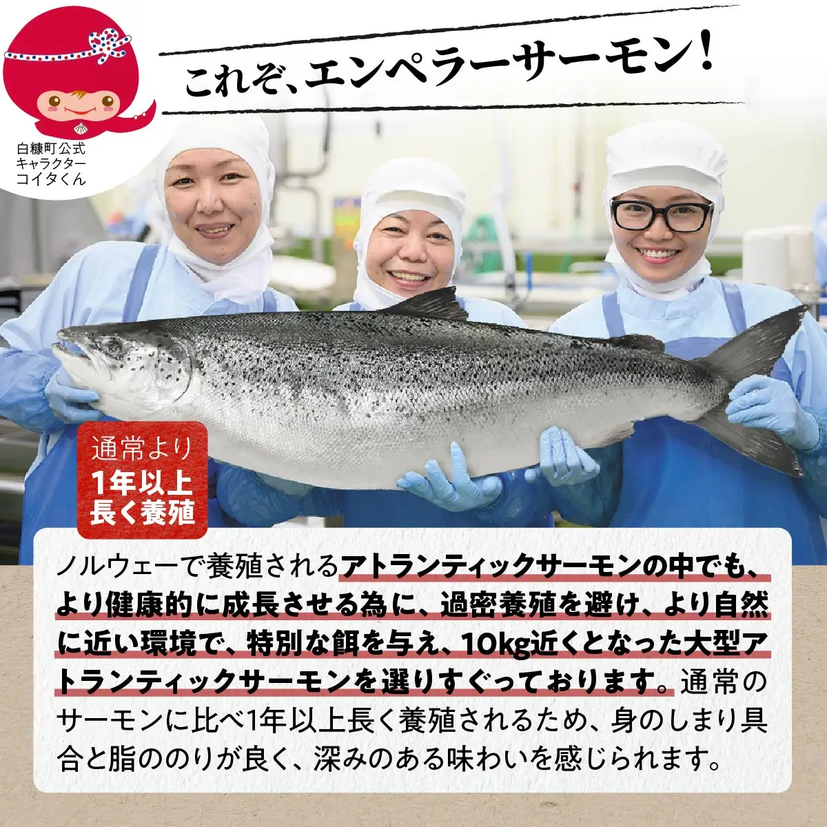 高評価★4.76 ふるさと納税 魚 【総合1位獲得の選べる サーモン 定期便 2回お届け】 エンペラーサーモン 900g 小分け 海鮮 鮭 刺身 さけ サケ ふるさと 人気 ランキング 北海道 白糠町_T030-1204