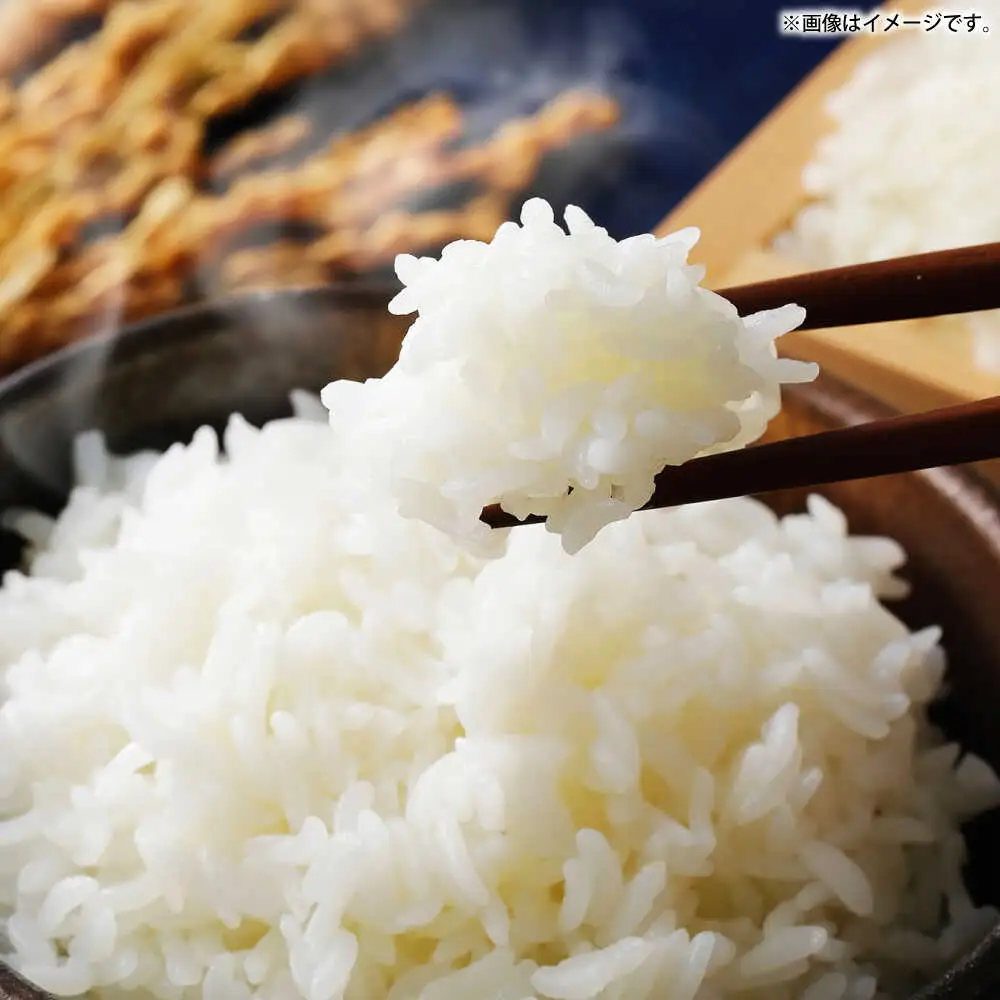 【お中元】壱岐産米と壱岐牛カレーセット（辛口/中辛/甘口） 《壱岐市》【壱岐フードファクトリー】 白米 ごはん ご飯 カレー レトルト 食品 レンジ 仕送り 肉 牛肉 和牛 壱岐牛[JDW153]