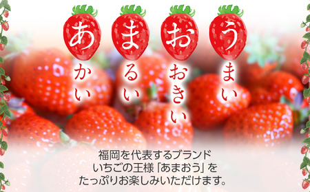 あまおう 約270g×2P 計540g 【7営業日以内発送】あまおう