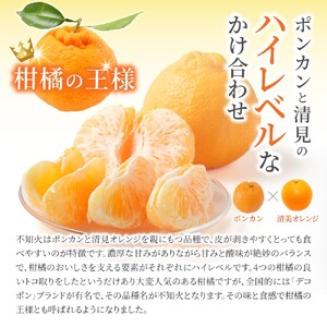 みかん 不知火 約8kg 【家庭用】 森本農園の手選別  和歌山県産 サイズ混合 【北海道・沖縄・離島配送不可】【BV-mrmt084A】