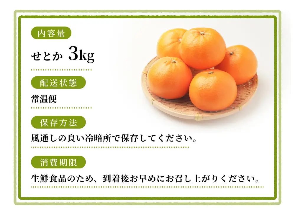 みかん せとか 約3kg 森本農園【1月下旬～4月末頃順次発送】【BV-mrmt089A】