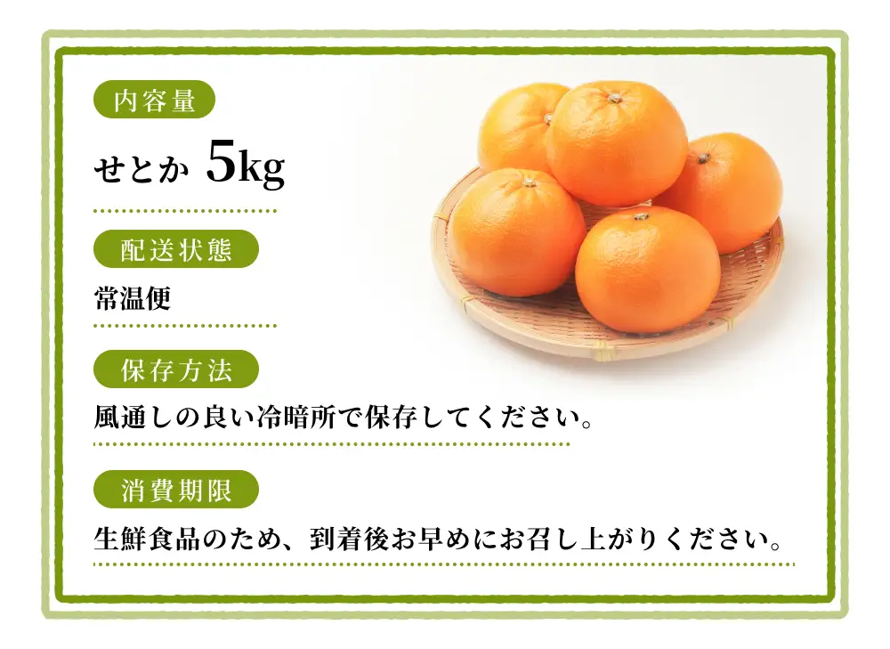 みかん せとか 森本農園 約5kg 【BV-mrmt090A】