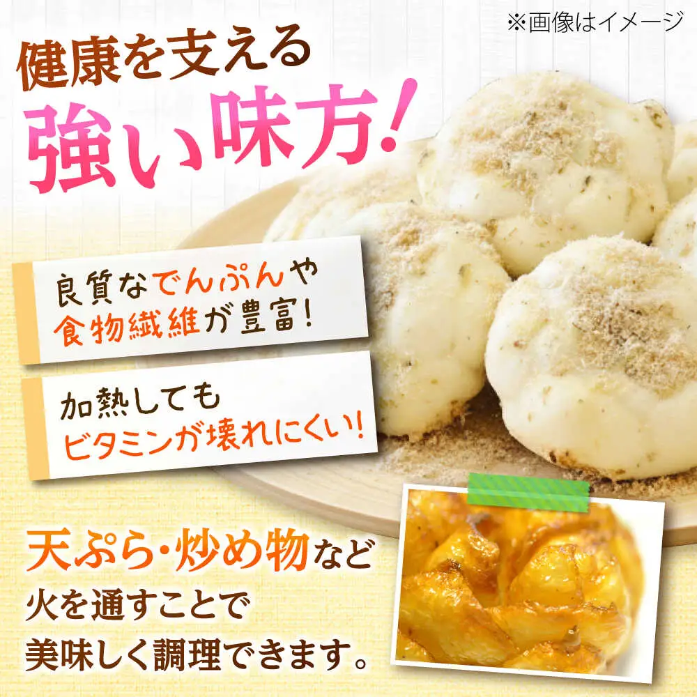 【2026年11月上旬以降発送】 ゆり根 Lサイズ 約2kg | ゆり根 ゆりね 野菜 冬野菜 産地直送 北海道 | 道の駅 真狩フラワーセンター[BPAM002]
