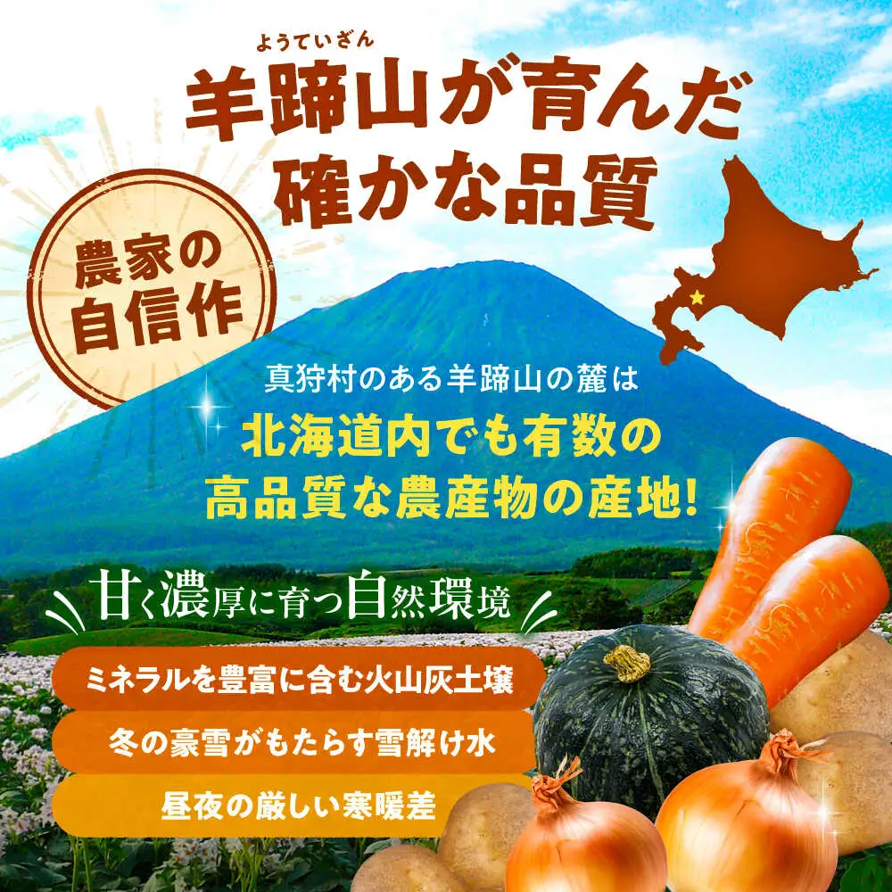 【先行予約】 秋の味覚セット（大）[BPAM004] 野菜セット 北海道