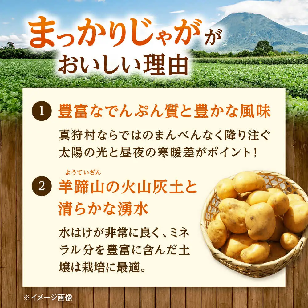 【先行予約】 じゃがいも キタアカリ 5kg [BPAM015] じゃがいも