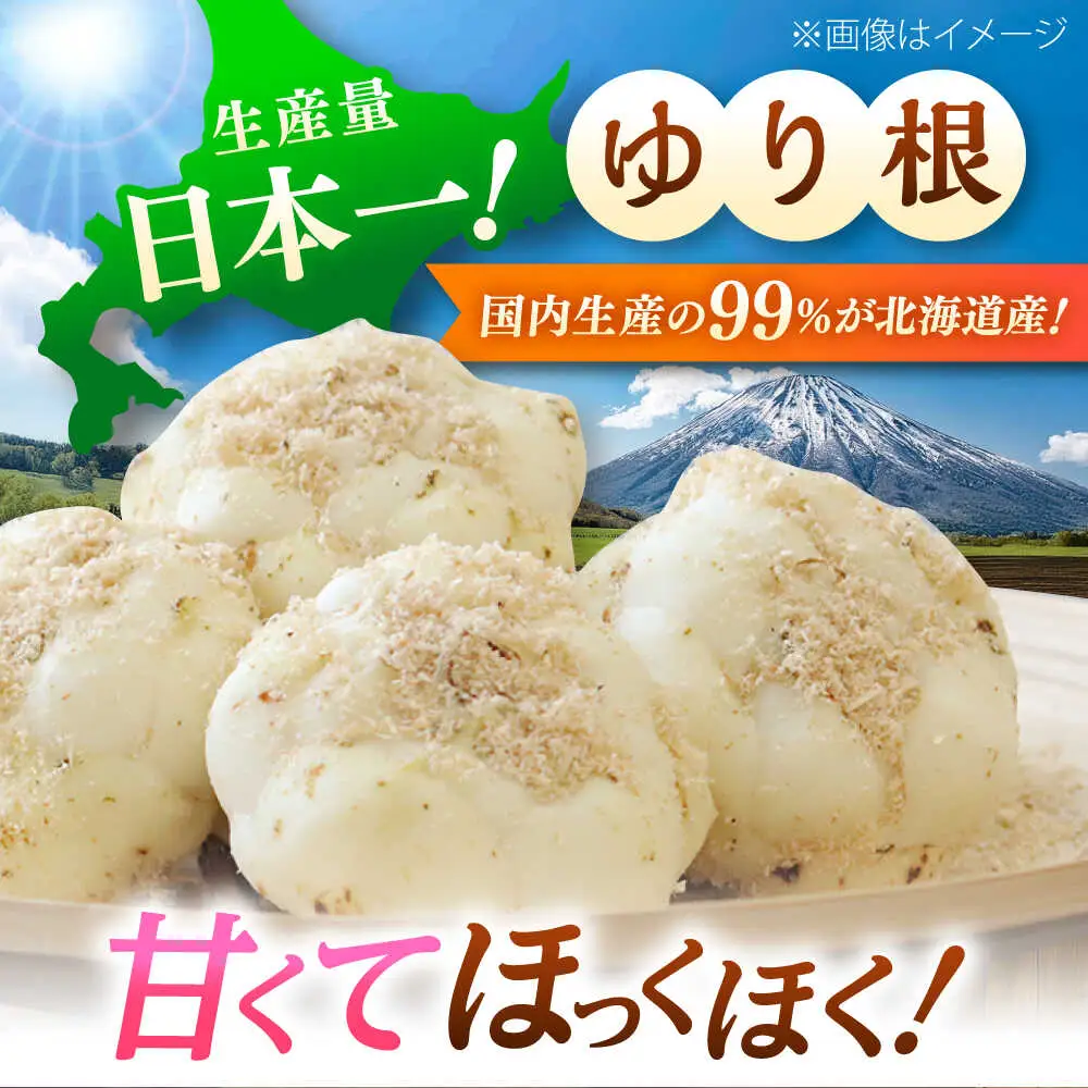 【2026年11月上旬以降順次発送】 ゆり根とリーキ  計3kg  |  ゆり根 リーキ 野菜 やさい 北海道 産地直送 |  道の駅 真狩フラワーセンター[BPAM022]