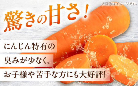 【先行予約】 雪の下にんじんと越冬じゃがいもセット 計15kg（キタカムイ）[BPAM037] 野菜セット