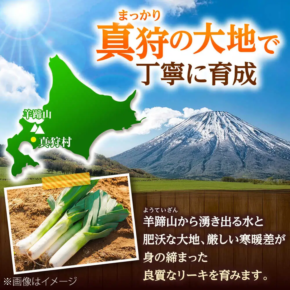 【2026年10月中旬以降順次発送】 リーキ 3kg | 野菜 ネギ ねぎ ポロネギ 西洋ねぎ リーキ | 道の駅 真狩フラワーセンター[BPAM045]