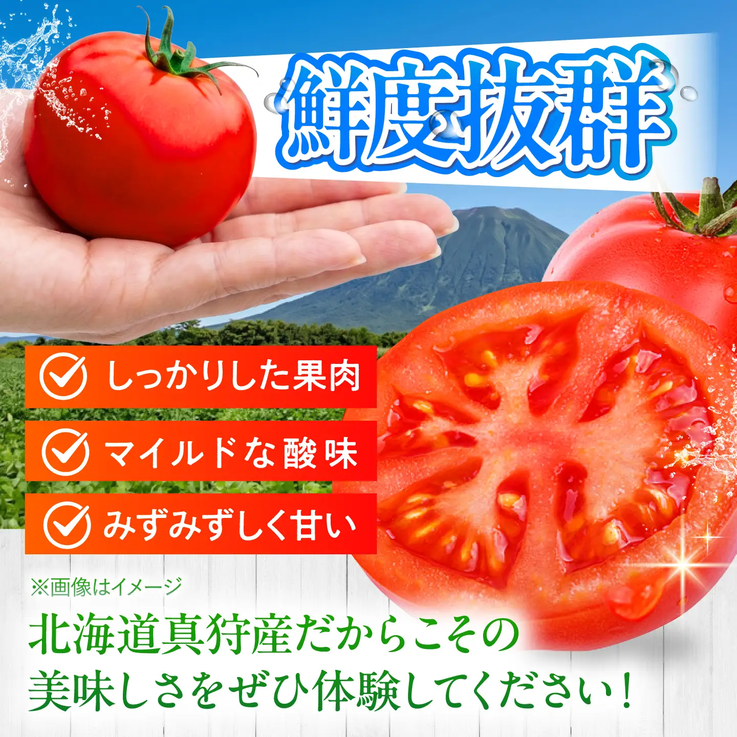トマト 4kg [BPAM078] トマト