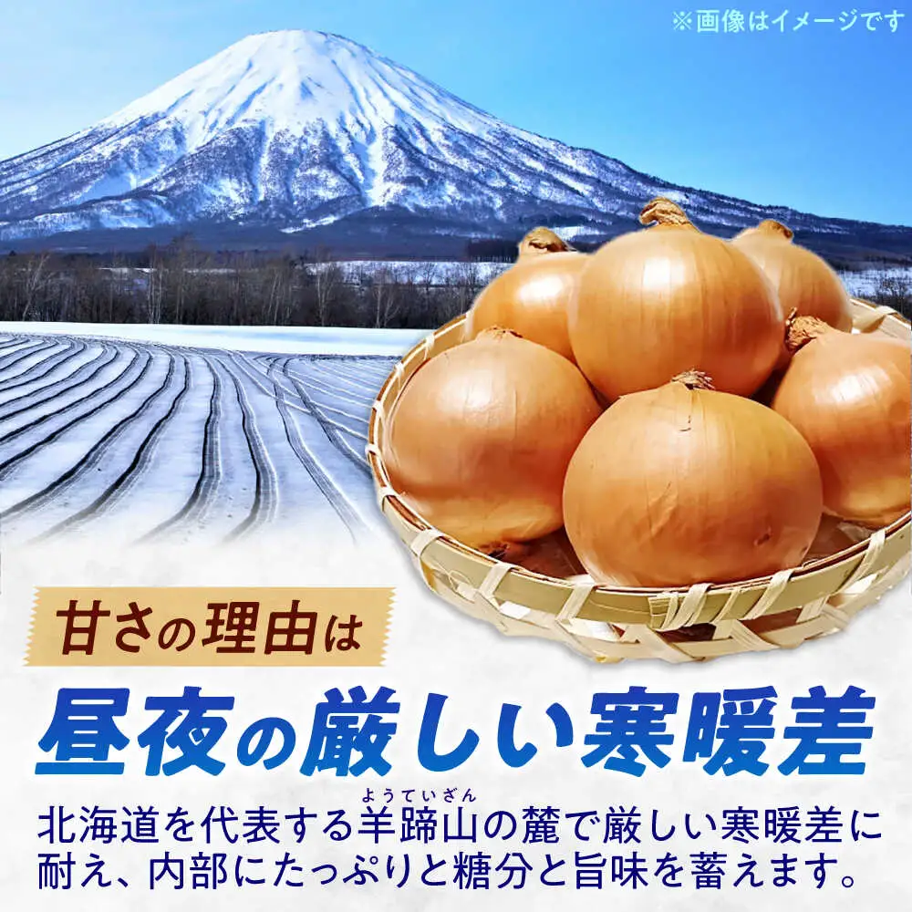 【先行予約】 玉ねぎ 5kg [BPAM079] 玉ねぎ 北海道