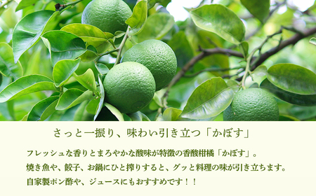 かぼすの手絞り果汁200ml×1p 保存料不使用 自家製ポン酢やサワー カクテル用に 果物の果汁 濃縮還元なし 10000円 故郷納税 オンラインワンストップ TF0888-P00074 