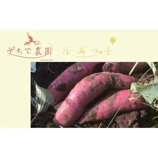 府中Sweet Potato Stout　（さつまいもスタウトビール）330ml瓶×6本セット